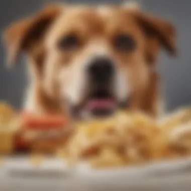 A dog showing signs of distress, indicating food-related issues.