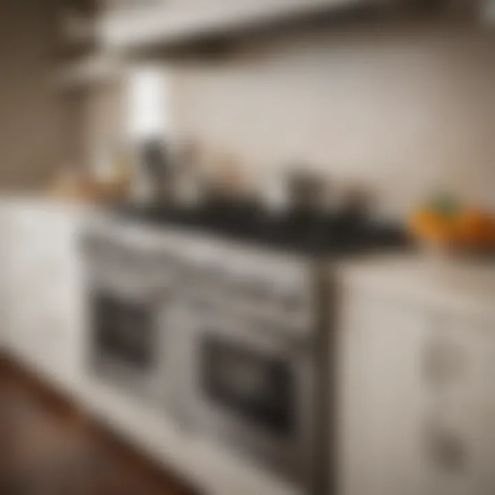 Organized kitchen featuring a gas range