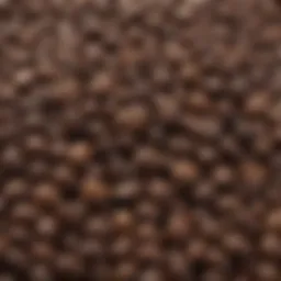 Close-up of espresso beans showcasing their rich oils and dark color