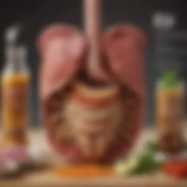 The Journey of Digestion An infographic illustrating the digestive system