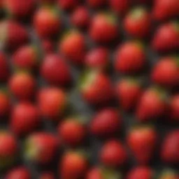 Vibrant freeze dried strawberries showcasing their intense color and texture