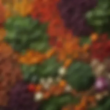 Vibrant Vegetables and Nutrient-Dense Legumes Colorful array of fresh vegetables and legumes