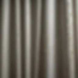 Close-up view of moldy shower curtain showing growth patterns