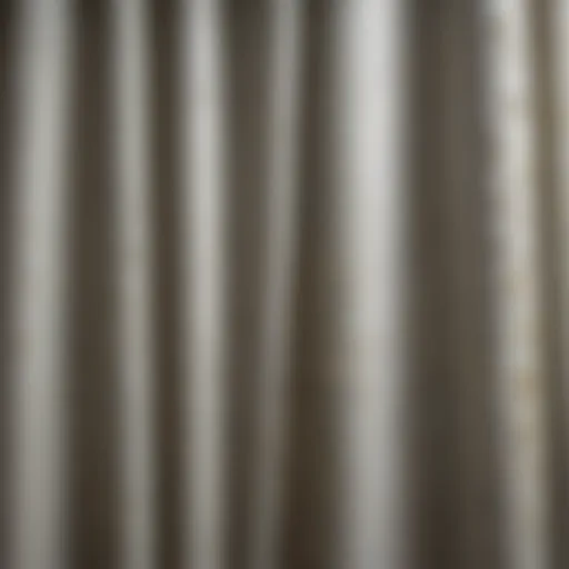 Close-up view of moldy shower curtain showing growth patterns