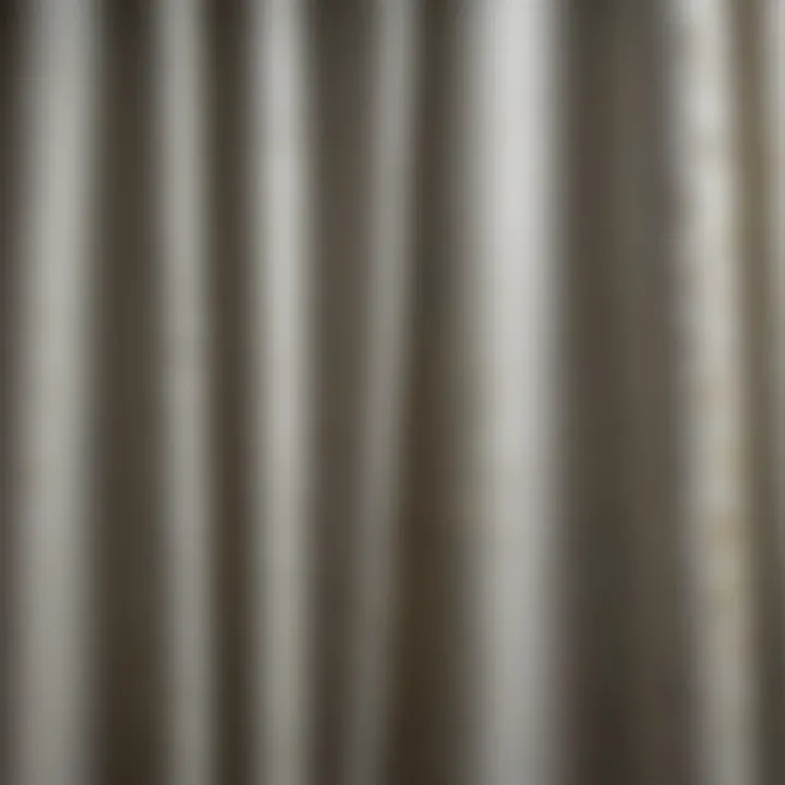 Close-up view of moldy shower curtain showing growth patterns