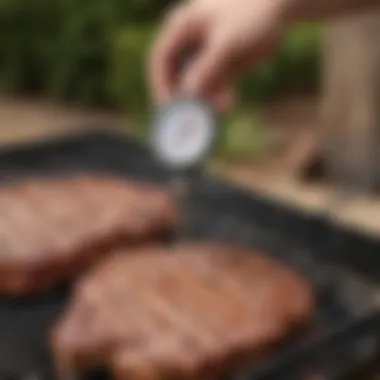 User demonstrating the proper placement of the Weber BBQ Thermometer in meat.