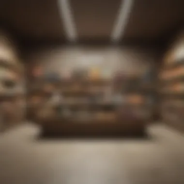 Interior of a health food store showcasing carob chocolate